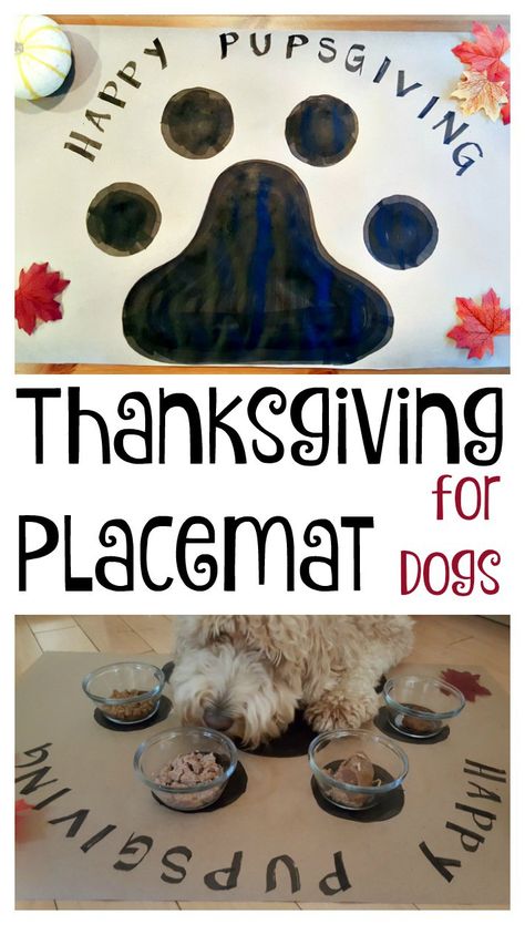 Dog Thanksgiving Pictures, Wellness Core Dog Food, Thanksgiving Dog Treats, Holiday Packaging Ideas, Food Fall, Dog Thanksgiving, Thanksgiving Treats, Thanksgiving Food, Family Thanksgiving