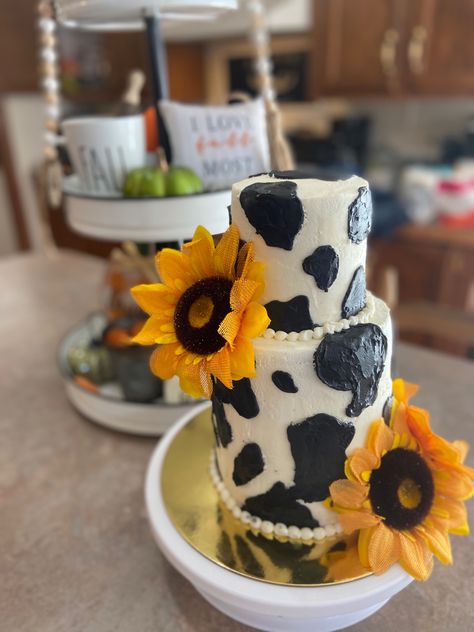 Cow Print Cakes, Cowgirl Cakes, Cow Print, Cow, Sunflower, Sweet Treats, Baby Shower, Baking, Cake