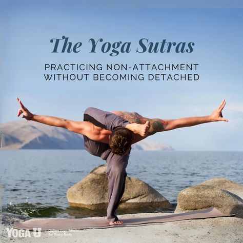 While many treat asana as the be-all and end-all in yoga, Yoga Therapist Tracy Weber argues that practicing non-attachment is just as, if not significantly more, important since it is mentioned several times in The Yoga Sutras of Patanjali. But what is non-attachment, exactly, and what does it imply about how we relate to our world? Read more! #yogatherapy #yogateacher #yogabasics #yogaforbeginners #yogasutras #yogini #yinlover #yinteachertraining #yinyogaclass Yoga Therapist, Yin Yoga Class, Yoga Breathing, Yoga Sutras, Yoga Guide, Basic Yoga, Teaching Yoga, Yoga Therapy, Yin Yoga