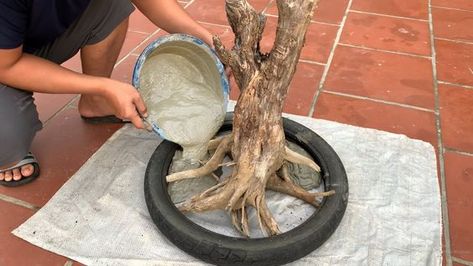 Cement Art Diy Ideas, Manualidades Para Jardin Ideas, Cement Garden Projects, Cement Art Diy, Ideas Para El Patio, Cement Tree, Garden Ideas Patio, Concrete Diy Garden, Rotten Wood