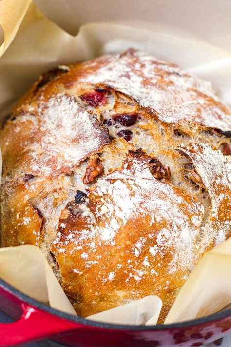 Cranberry Walnut Bread (No Knead) - Cooking For My Soul Cranberry Nut Bread, Walnut Bread Recipe, Cranberry Walnut Bread, Chewy Bread, Dutch Oven Bread, Holiday Bread, Christmas Bread, Yeast Breads, Walnut Bread