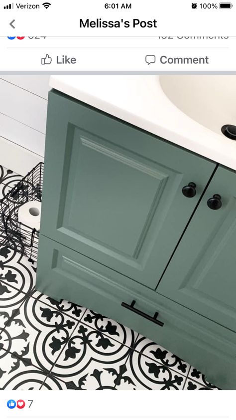 color Behr Heritage Park. Tinted cabinet paint Heritage Park Behr Paint, Green Camper Cabinets, Heritage Park Behr, Bathroom Vanity Color Ideas Paint, Green Bathroom Cabinets, Sage Green Bathroom Vanity, Green Cabinets Bathroom, Bathroom Designs 2023, Laundry Remodel