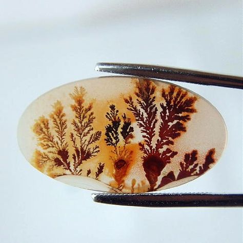 Museum Quality! Worlds Best Scenic Dendritic Agate! GLI - Litnon Gemstone Sculpture, Agate Art, God Artwork, Magic Stones, Agate Cabochon, Sticks And Stones, Dendritic Agate, Worlds Best, Minerals And Gemstones