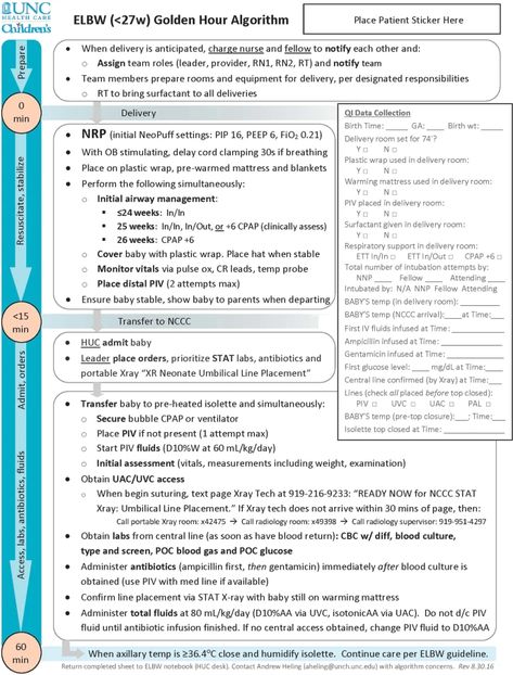 Prenatal Nursing Notes, Neonatal Resuscitation Program, Pediatric Intensive Care Unit, Delayed Cord Clamping, Neutropenic Precautions Nursing, Charting For Nurses, Charge Nurse, Pressure Ulcer, Neonatal Nurse