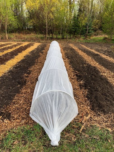 Floating Row Covers, Garden Planing, Veggies Garden, Small Scale Gardening, Cold Climate Gardening, Free Garden Planner, Cruciferous Vegetables, Garden 2023, Bird Netting