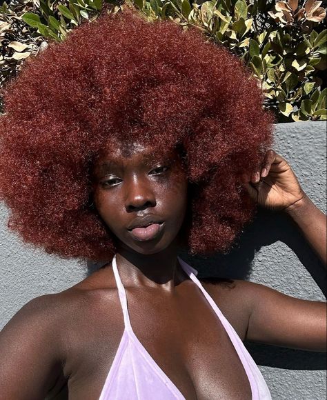 Red Afro Hair Natural 4c, Hair Colours For Dark Skin, Color Afro, Red Afro, Hair Color For Dark Skin, Wine Red Hair, Curly Hair Drawing, Dark Red Hair, Natural Afro Hairstyles