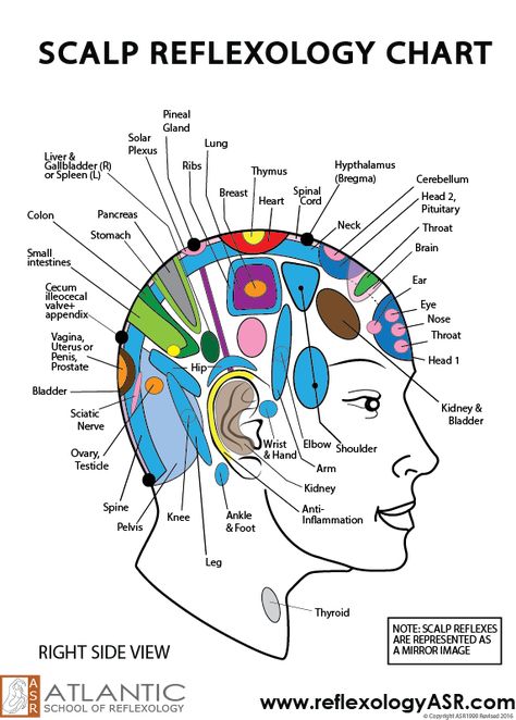 Human Body Pressure Points, Scalp Pressure Points, Facial Reflexology Chart, Face Reflexology Chart, Reflexology Pressure Points, Ear Reflexology, Hand Reflexology, Massage Therapy Techniques, Reflexology Chart