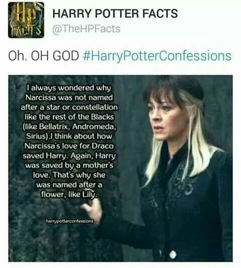 Sirius Black Remus Lupin, Granger Hermione, Hermione Draco, Slytherin Harry, Citate Harry Potter, Hp Facts, Glume Harry Potter, Harry Potter Harry, Funny Harry Potter Jokes