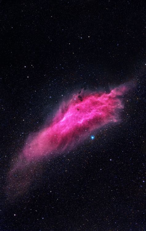 NGC 1499 California Nebula Credit: Emil Ivanov Nebula Icon, California Nebula, Paul Celan, Space Observatory, Astronomy Telescope, Hubble Pictures, Look Wallpaper, Astronomy Art, Nebulas