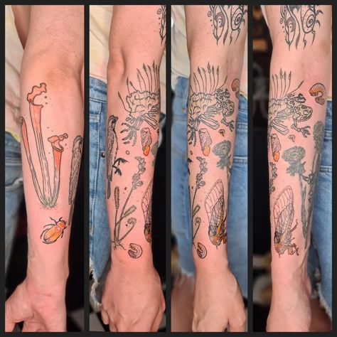 Decomposer sleeve Pt.II 🍃🪲🥀 For this session, we added a beautiful little cicada and the life cycle of the masked chafer beetle (see second slide). ✨️I adore how it's coming together! ✨️ Everything else is 4 weeks healed, except the dandelion, which is not by me. Alt text: photos showing a tattoo half sleeve project featuring various carnivorous plants and bugs: pitcher plants, cape sundew, english sundew, a toad skeleton, cicada and a masked chafer beetle's life cycle stages are all rep... Sundew Tattoo, Toad Skeleton, Cape Sundew, Tattoo Half Sleeve, Cicada Tattoo, Cycle Stages, Beetle Tattoo, Pitcher Plants, Insect Tattoo