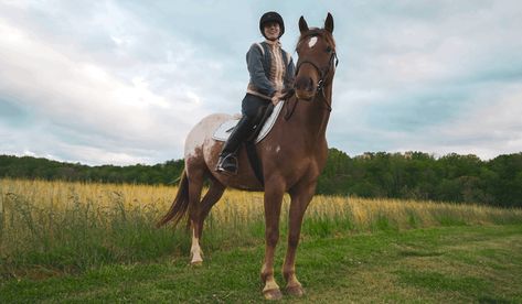 First Horse Checklist, Long Lining Horse Training, New Horse Owner Checklist, First Time Horse Owner Checklist, Liberty Training For Horses, Horse Show Checklist English, English Horseback Riding, Horse Riding Tips, The Barnyard