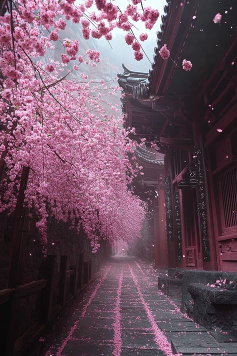 Experience the Magic of Cherry Blossoms in Japan🌸 Visit Japan in spring to witness the stunning cherry blossoms in full bloom. Enjoy hanami (flower viewing) in parks and gardens across the country. 🌿🌸 #CherryBlossoms #SpringTravel Cherry Blossom In Snow, Japanese Cherry Blossom Trees, Japan Aesthetic Cherry Blossoms, Cherry Blossom Season Japan, Spring Park Aesthetic, Japan Spring Aesthetic, Japan Cherry Blossom Aesthetic, Japan Astetic, Japan Nature Aesthetic