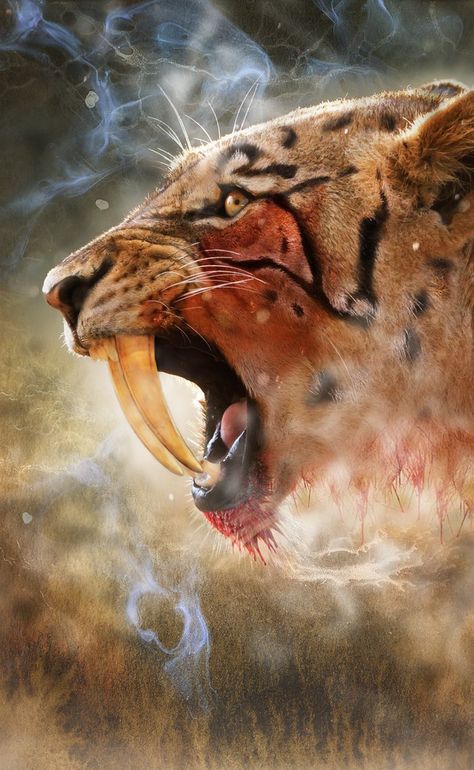 Sabre Tooth Tiger, Sabertooth Tiger, Dino Art, Extinct Species, Lion Head Tattoos, Tiger Wallpaper, Lion Drawing, Dinosaur Fossils, Prehistoric Creatures