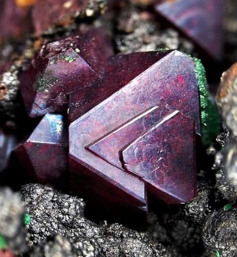 Cuprite 💎✨ Admiring the striking red color and metallic luster of this captivating mineral. #Cuprite #MineralBeauty #GeologicalMarvel 🌿🔴 Rhineland Palatinate, Mineral Jewelry, Metallic Luster, Beautiful Rocks, Crystal Design, Mineral Stone, April 26, Minerals And Gemstones, Rocks And Gems