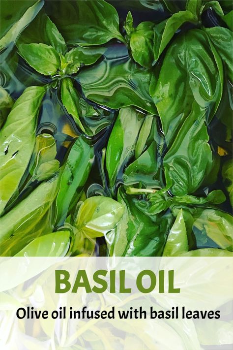 DIY basil olive oil. #basil #oliveoil #infusedoils Fresh Basil Infused Olive Oil, Preserving Basil In Olive Oil, Garlic Basil Infused Olive Oil, Homemade Basil Oil, How To Make Basil Oil, Preserving Basil In Oil, Basil And Garlic Infused Olive Oil, Basil Oil Uses, Herb Olive Oil Recipe