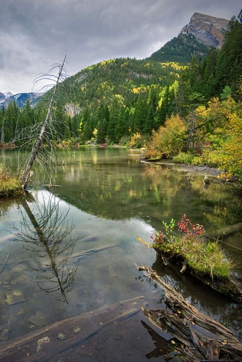 An overlooked photography stop on the road to visit Crystal Mill in Marble Colorado; Lizard Lake is worth a stop to explore on its own. via @kevinwenning Marble Colorado, Explore Colorado, Colorado Travel, On The Road, The Road, Denver, Places To Go, Dip, Colorado