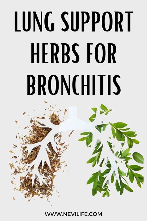 Lung Support Herbs for Bronchitis. Health tips for lung health protection against cold flu and bronchitis. Lung Support, Lung Cleanse, Lung Health, Lungs Health, Remove Toxins, Lungs, Health Tips, Ginger, Herbs