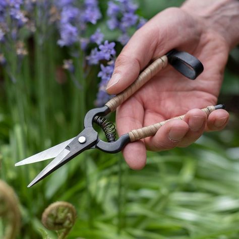 Niwaki on Instagram: “When you are hunting in the garden for flowers to make a display, our Rattan Snips make taking cuttings that bit more enjoyable. They have…” Solar Punk, Garden Shears, Soft Spring, Flower Subscription, Heritage Crafts, Get Well Soon Gifts, Household Tools, Dried Flower Bouquet, Plant Gifts