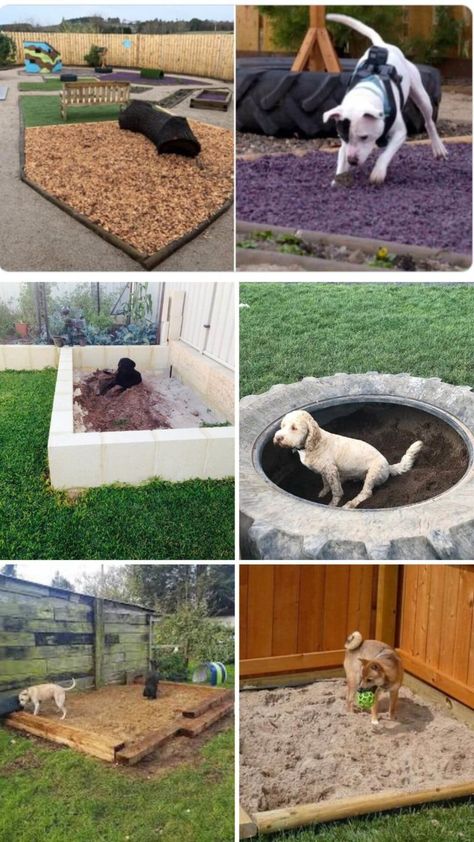 Backyard Ideas For Dogs, Outdoor Dog Area, Backyard Dog Area, Dog Play Area, Dog Pond, Dog Friendly Garden, Dog Friendly Backyard, Dog Backyard, Ideas For Dogs