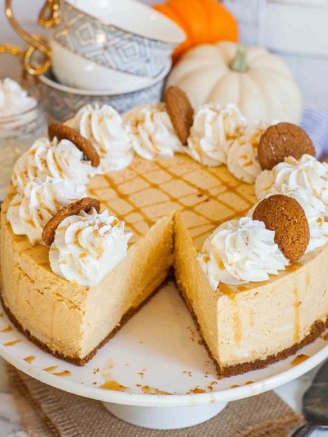 No-Bake Pumpkin Cheesecake with Ginger Snap Crust (video) No Bake Pumpkin Cheesecake Recipe, Pumpkin Spice Cheesecake, No Bake Pumpkin, No Bake Pumpkin Cheesecake, Pumpkin Cheesecake Recipes, Cream Cookies, Pecan Cake, Cheesecake Filling, Bake Cheesecake