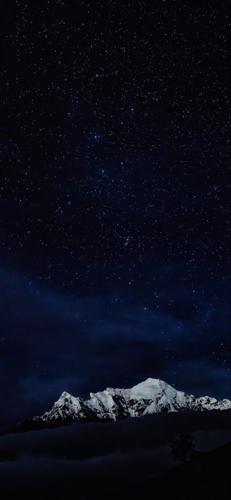 Dark sky with twinkling stars Dark Sky Aesthetic Stars, Midnight Aesthetic Sky, Blue Stars Aesthetic Wallpaper, Midnight Sky Aesthetic, Midnight Sky Wallpaper, Dark Astrology, Midnight Aesthetic, 51st Anniversary, Wc Ideas