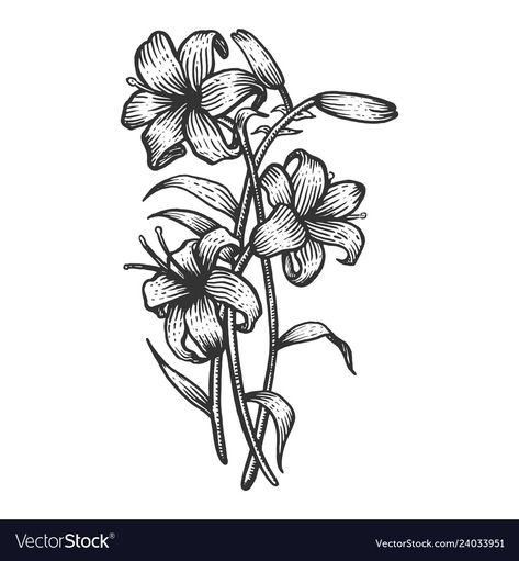 Woodcut Flower, Block Printing Designs, Flower Engraving, Lily Tattoo Design, Engraving Tattoo, Medieval Artwork, Engraved Flower, Lily Tattoo, Botanical Illustration Vintage