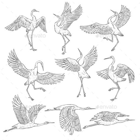 Set of Black and White Japanese Cranes ... Japanese Stork Tattoo Design, Cranes Japanese Art, Tough Female Tattoos, Japanese Bird Drawing, Crane Illustration Japanese, Japanese Animals Art, White Crane Bird, Japanese Crane Illustration, Crane Art Paintings