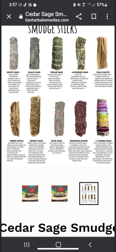 Magical Properties Of Moss, Different Smudge Sticks Meaning, Juniper Sage Benefits, Types Of Smudge Sticks, Different Sage Meanings, Types Of Sage For Smudging, Black Sage Benefits, Red Sage Benefits, Smudge Sticks Meaning