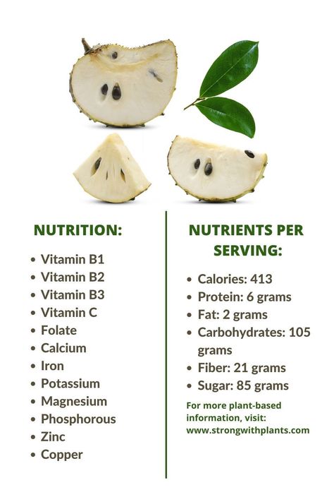 Soursop or Graviola is packed with tons of nutritions. Here are some of them. #soursop #graviolafruit #fruitbenefits #healthbenefitsoffruits #veganknowledge Graviola Benefits, Soursop Oil Benefits, Sour Sops Benefits, Soursop Bitters Benefits, Soursop Leaf Tea Benefits, Benefits Of Soursop, Soursop Drink Recipe, Soursop Fruit Benefits, Soursop Benefits