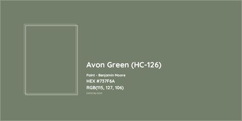 HEX #737F6A Avon Green (HC-126) Paint Benjamin Moore - Color Code Benjamin Moore Avon Green, Tate Olive, Green Benjamin Moore, Paint Benjamin Moore, Munsell Color System, Analogous Color Scheme, Paint Color Codes, Rgb Color Codes, Choosing Paint Colours