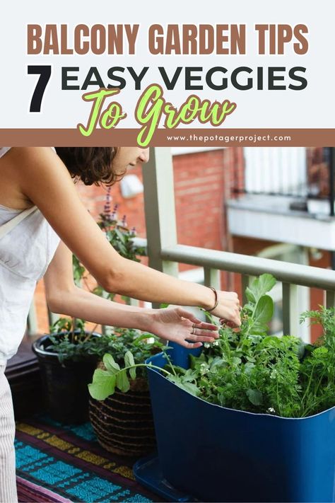 A woman tending to a small vegetable garden on a balcony, reaching into a blue container filled with leafy green plants, with additional pots in the background against a brick wall. Easy Veggies To Grow, Easy Veggies, Veggies To Grow, Best Vegetables To Grow, Best Vegetables, Vegetables To Grow, Indoor Herb, Garden Vegetables, Growing Veggies