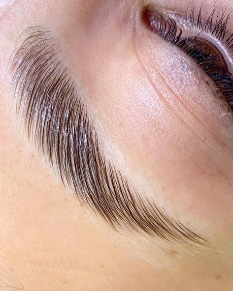 Brow Lamination Aesthetic, Brow Threading, Eyebrow Lift, Eyelash Lift, Brow Artist, Brow Color, Brow Wax, Brow Lift, Brow Lash