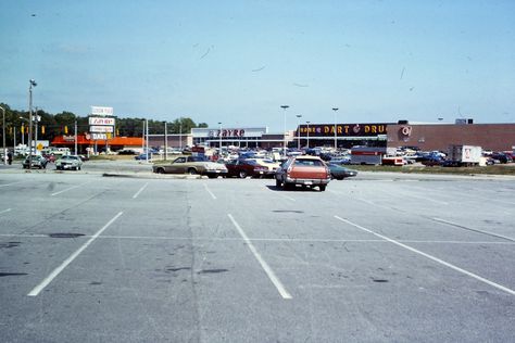 Gordon Plaza at Route 123 and Horner Road in Woodbridge, Virginia.  I'm sure some of my babies' Christmas presents came from that Zayre!  :)  Photo by Ed Stallknecht Christmas Presents For Babies, Woodbridge Virginia, Babies Christmas, Wood Bridge, Painting Art Projects, Painting Art, Christmas Presents, Art Projects, Virginia