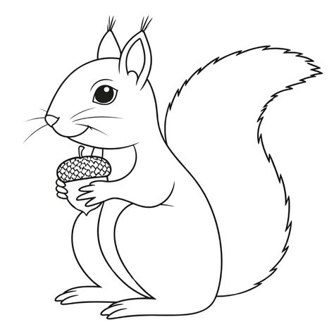 A charming coloring book depicting a squirrel holding acorns, perfect for young artists and nature lovers. Coloring this squirrel is a great way to develop manual skills and creativity in children, as well as to introduce them to the subject of forest animals. Perfect for learning to concentrate and having fun discovering the natural world! Squirrel Coloring Page, Squirrel Tattoo, Squirrel Pictures, All About Me Preschool, Work Fun, Animals Coloring, A Squirrel, Easy Crafts For Kids, Animal Coloring Pages