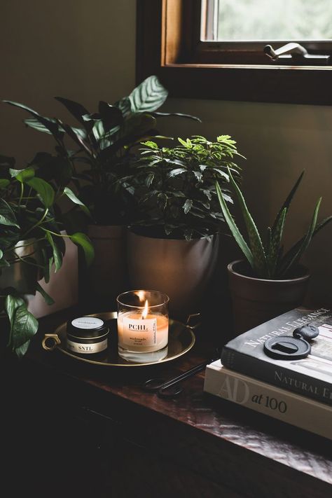 Plant And Candle Aesthetic, Vetiver Aesthetic, Candle Staging, Wild Rooster, Candles 2023, Candle Product Photography, Candle Photography Ideas, Perfume Ideas, Candle Photoshoot