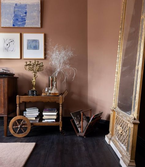 Black Skirting Boards Pink Walls, Pink Walls Brown Trim, Pink And Brown Decor Living Room, Dark Pink Wall Paint, Pink Brown Paint Color, Dusty Pink Hallway, Pink And Brown Decor, Pink Hallways, Dusty Pink Room