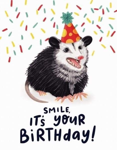 Happy Birthday Possum, Possum Birthday Party, Birthday Opossum, Birthday Possum, Possum Birthday, Possum Art, Awesome Possum, Goofy Drawing, Paper Background Design