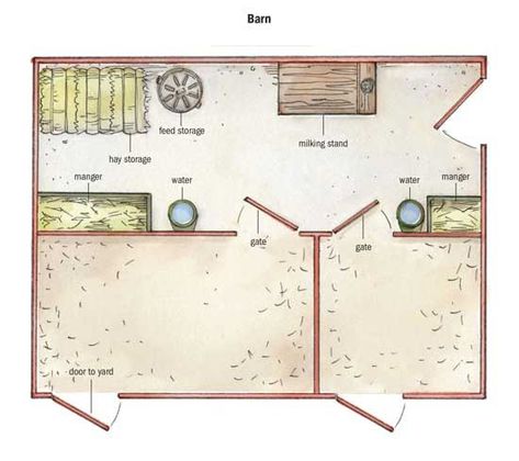 Dairy goat barn floor plan Goat Housing, Livestock Barn, Goat Shed, Barn Layout, Goat Pen, Goat Shelter, Small Goat, Goat House, Goat Care