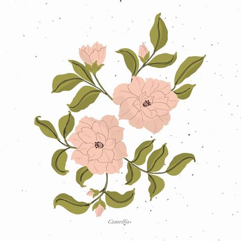 Kashmira Jayaprakash | Art on Instagram: “Camellia ! 18/100  #camellia #geranium #floralillustration  #the100dayproject #100daysofbotany #100daysofillustration #art #graphicdesign #digital #poster #illustration #illustrator #artist #style #drawing #sketch #minimal #floral  #floraldesign #floralprint #flower #flowers #painting #botanicalpainting #pink #blush #offwhite #black #pen #green #botanical #botanicalillustration #pinkflowers #rose Camellia Flower, Poster Illustration, Black Pen, Illustrator Artist, Floral Illustration, Digital Poster, Pottery Ideas, Pink Blush, Dorm Decor