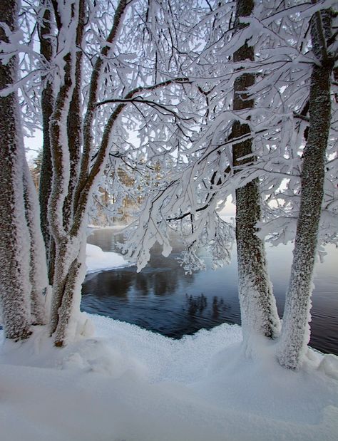 http://voiceofnature.tumblr.com/post/102352931411/milamai-blue-water Winternight Trilogy, Winter Pics, Amazing Scenery, I Love Snow, Snow Pictures, Winter's Tale, I Love Winter, No Image, Winter Photos