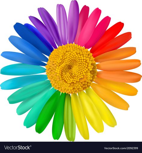 Color Wheel Art, Rainbow Images, Chamomile Flower, Bloom Blossom, Creative Activities For Kids, Chamomile Flowers, Unique Flowers, Color Activities, Rainbow Flowers