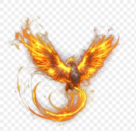 Animated Boy Pics, Fire Black Background, Phoenix Wings, Boy Pics, Dark Wings, Phoenix Bird, Fire Bird, Neon Design, Yellow Background