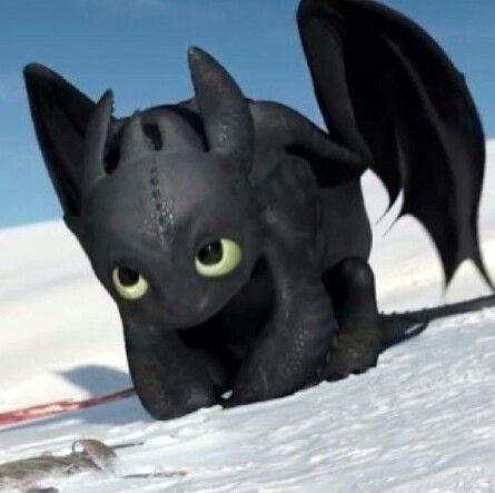 Previous pinner: Something happened in your room Hiccup... And I want you to know I love you so much Me: XD TOO FUNNY!!!! Toothless Reaction Pic, Toothless Pictures, Cute Toothless, Httyd Toothless, Httyd Hiccup, Httyd Art, Toothless Dragon, Hiccup And Toothless, Dragon Trainer