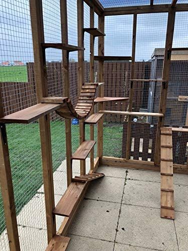 Catio Plans, Katt Diy, Cat Patio, Outdoor Cat Enclosure, Cat House Diy, Cat Run, Pet Enclosure, Outdoor Cat House, Cat Sanctuary