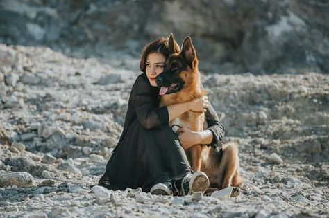 Dog Photoshoot Pet Photography, Dog Photography Poses, Dog Foto, German Shepherd Pictures, Insta Poses, Clydesdale Horses, Photos With Dog, Family Beach Pictures, Dog Poses