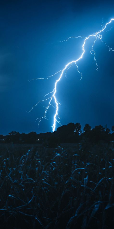 Thunderstorm Aesthetic, Lightning Sky, Lightning Images, Lightning Photos, Storm Wallpaper, Lightning Photography, Blue Lightning, Thunder And Lightning, Lightning Storm