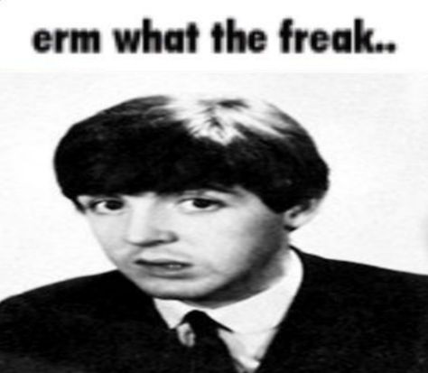 Silly Paul Mccartney, Paul Mccartney Memes, Paul Mccartney Pfp, The Beatles Pfp, Paul Mccartney Funny, Paul Beatles, The Beatles Funny, Beatles Meme, Beatles Funny