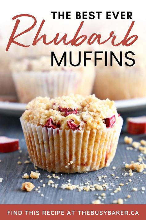 Made with fresh rhubarb and a sweet streusel topping, these Best Ever Rhubarb Muffins are the perfect easy sweet snack or breakfast! These Rhubarb Streusel Muffins are one of my favourite recipes for rhubarb season. You can make these ahead and store rhubarb muffins in an airtight container for up to 3 days at room temperature. Rhubarb Streusel Muffins, Sweet Snacks Easy, Streusel Topping Recipe, Fresh Rhubarb, Fruit Muffins, Rhubarb Muffins, Dessert Halloween, Rhubarb Desserts, Streusel Muffins