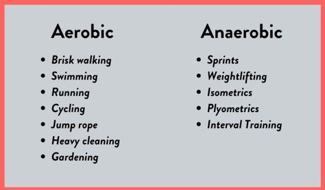 Cardio vs. Aerobic vs. Anaerobic: Are they the same?  — Fitbod Complete Body Workout, Anaerobic Exercise, Exercise Physiology, Health Class, Like A Mom, Aerobics Workout, Workout Moves, Weight Workout Plan, Free Workouts