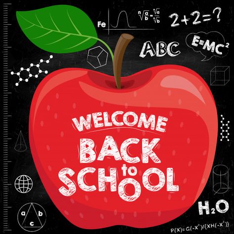 Back to school banner. red apple on the black school board with inscriptions. Premium Vector | Free Vector #Freepik #vector #freebanner #freesale #freeschool #freetexture Apple Clip Art, Back To School Banner, Banner Red, School Images, Free Banner, School Banner, Free Textures, Graphic Editing, School Board